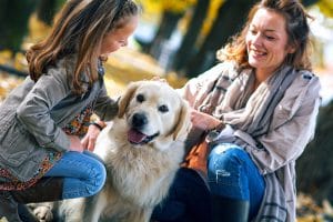 Family playing with dog on the park