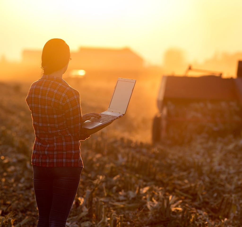 Woman with laptop in the field